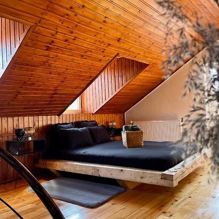 Nacada Studio By Hyco Apartment Sighisoara Bagian luar foto