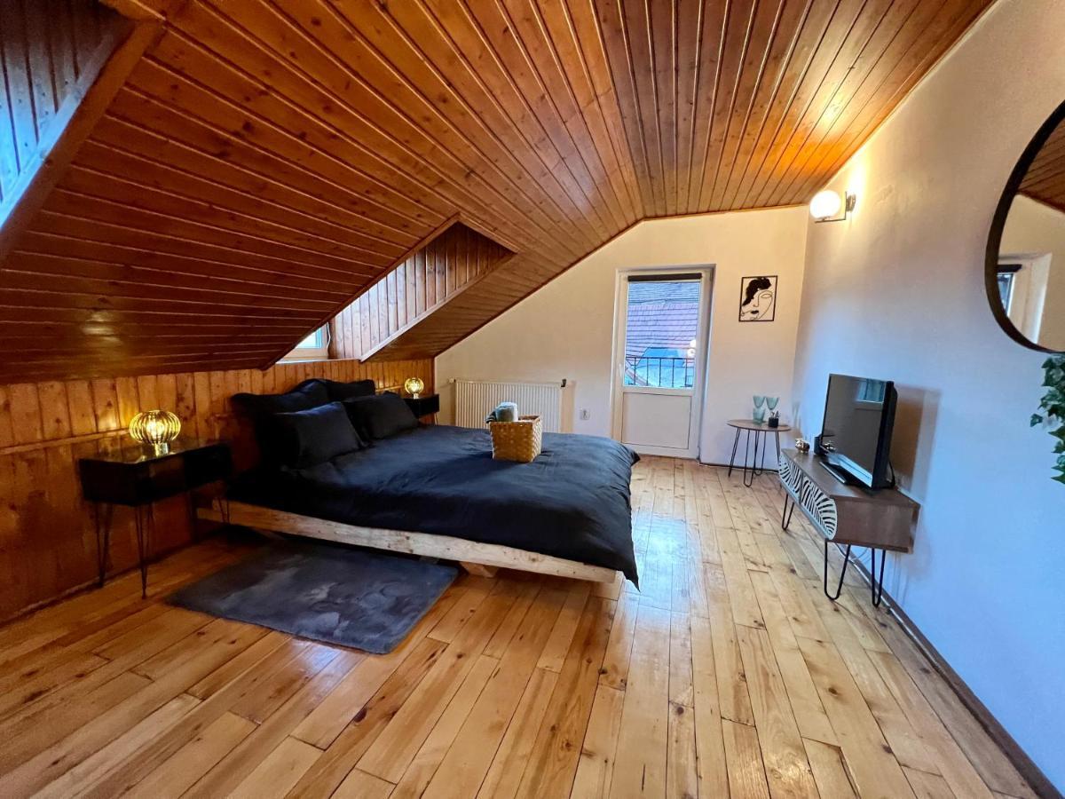 Nacada Studio By Hyco Apartment Sighisoara Bagian luar foto