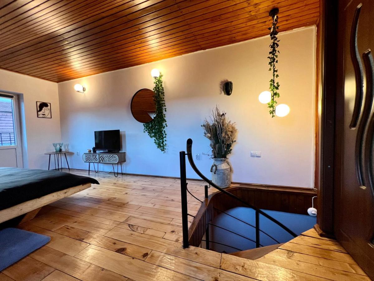 Nacada Studio By Hyco Apartment Sighisoara Bagian luar foto