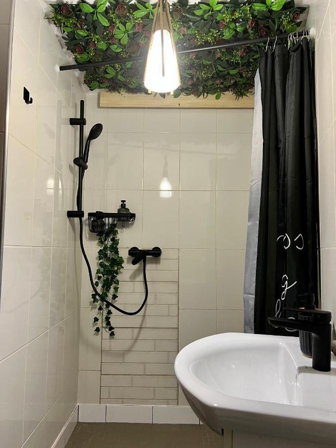 Nacada Studio By Hyco Apartment Sighisoara Bagian luar foto