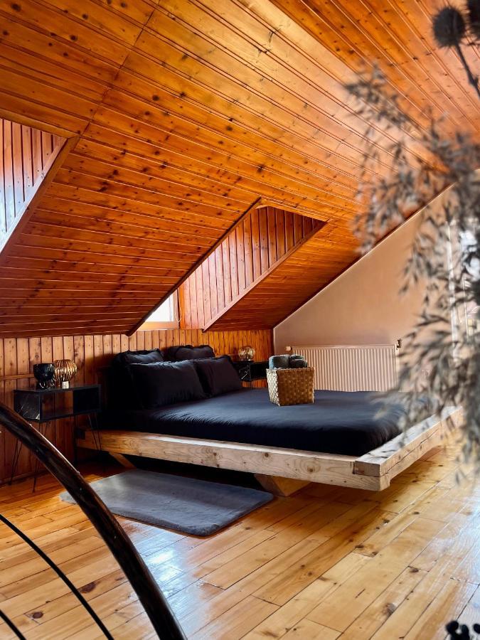 Nacada Studio By Hyco Apartment Sighisoara Bagian luar foto